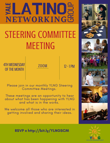 YLNG Steering Committee Meeting Flyer